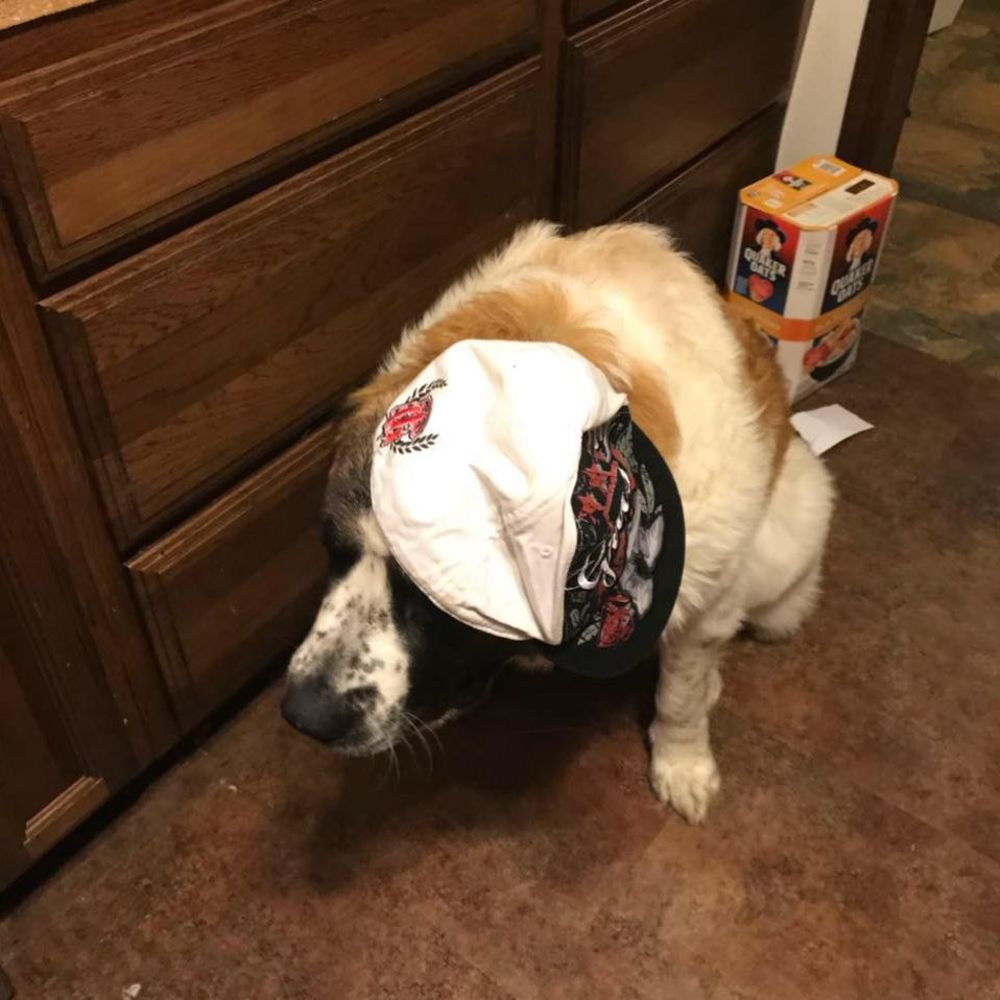 Meet your Posher, Nichcol